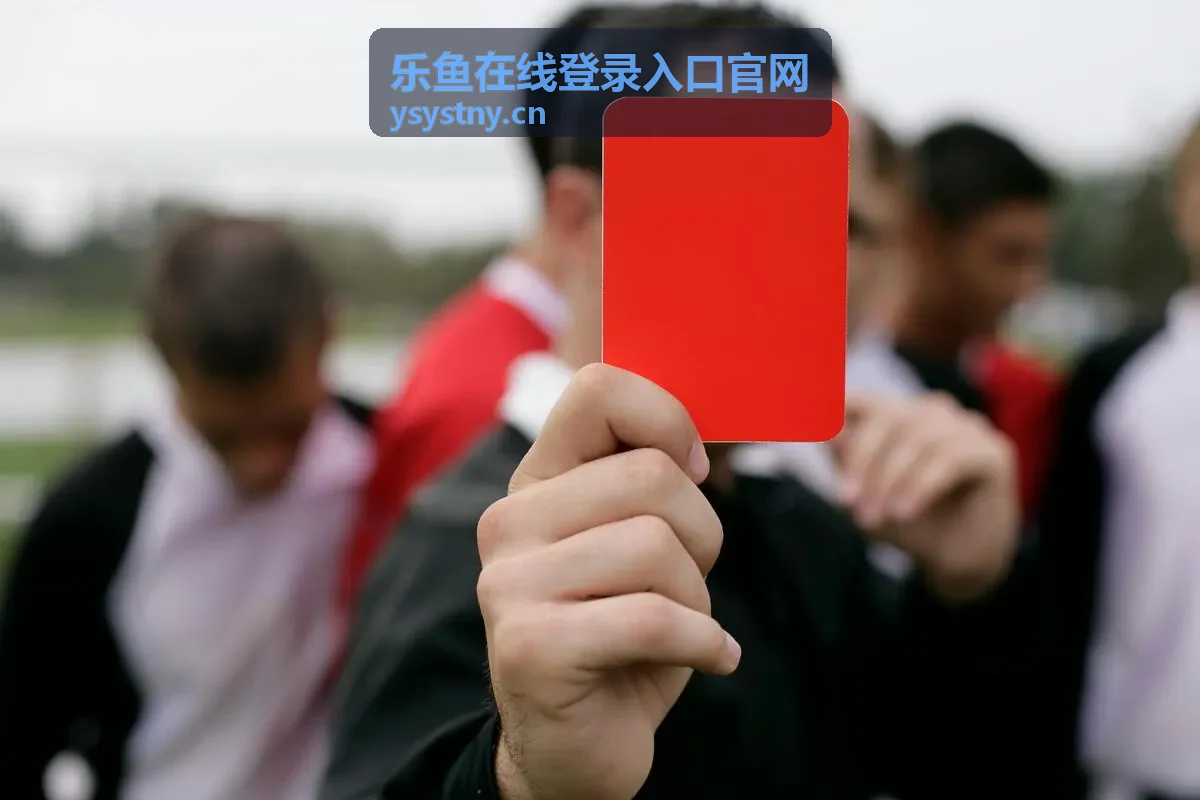 乐鱼在线登录入口官网常见问题联系支持服务